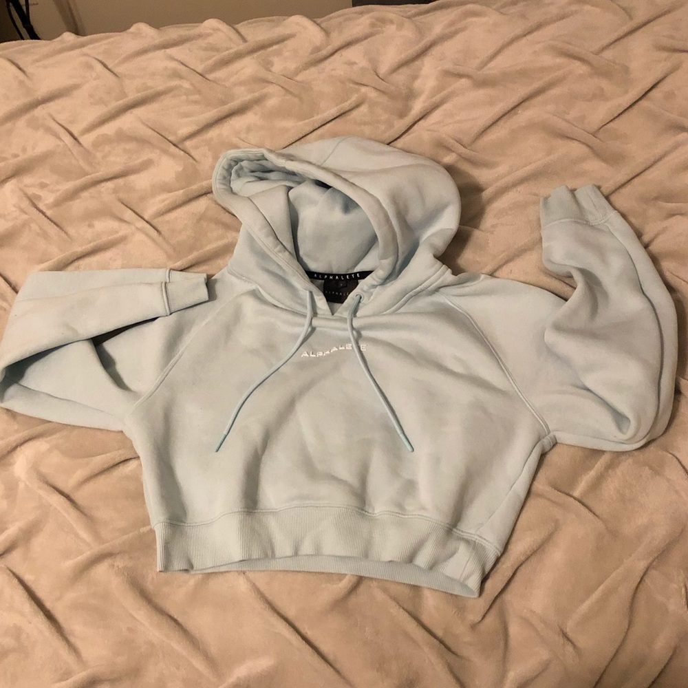Alphalete Cropped Hoodie - Light Blue - Small